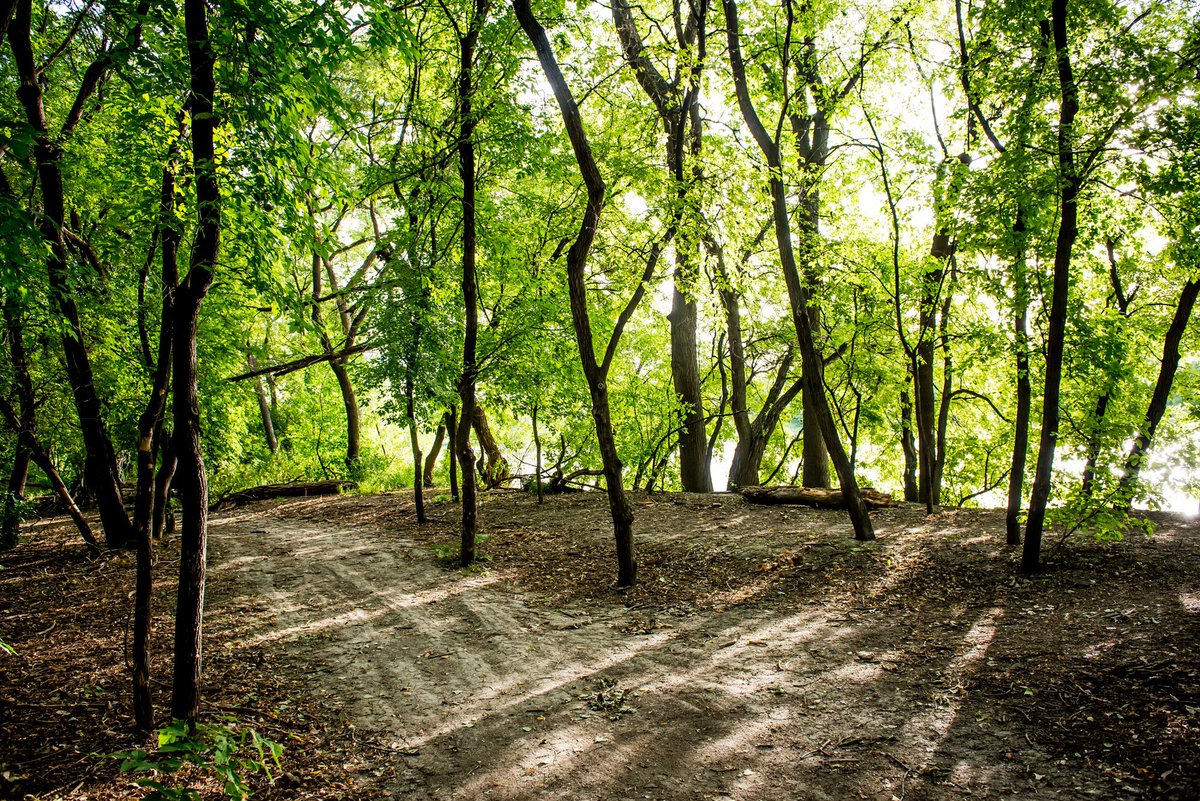 ParksCanadaMB's tweet photo. Happy National Trails Day! Did you know that the Trans Canada Trail connects 13 provinces &amp; territories together over 24,000km? It also connects to The Forks National Historical Site! https://t.co/0qfNEfdUU3