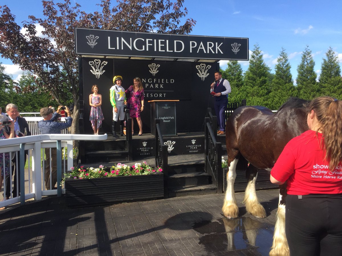 LingfieldPark's tweet photo. A massive thank you to all that supported the @ShowerkingLPG &amp; @hurstgshires Shire horse race today! And well done to @page_fuller for riding Major Jack Seely to victory 🐎 https://t.co/lrYFHMy14Q