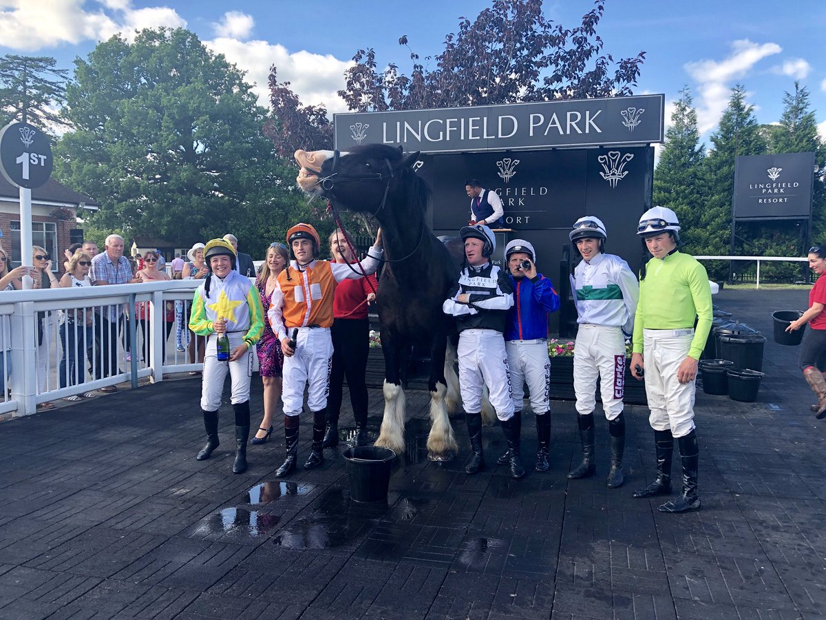 LingfieldPark's tweet photo. A massive thank you to all that supported the @ShowerkingLPG &amp; @hurstgshires Shire horse race today! And well done to @page_fuller for riding Major Jack Seely to victory 🐎 https://t.co/lrYFHMy14Q