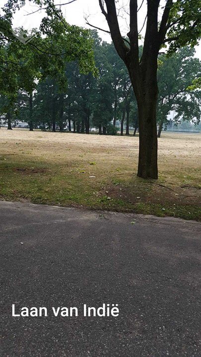 POL_Almelo's tweet photo. Ernstig zedendelict in Almelo, wij zoeken getuigen!  Meer details via --> https://t.co/NfuMbXH4Nf #almelo #laanvanindie #kolthofsingel https://t.co/3WPMFoZ9em