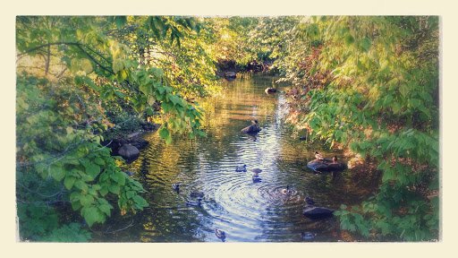 MeridiaLife's tweet photo. Linden is a beautiful city, with some absolutely gorgeous parks in the area. We are just a few minute walk from John Russell Wheeler Park, a great place to take a stroll with your friends, family, and pets! https://t.co/t5uh4ERTSO