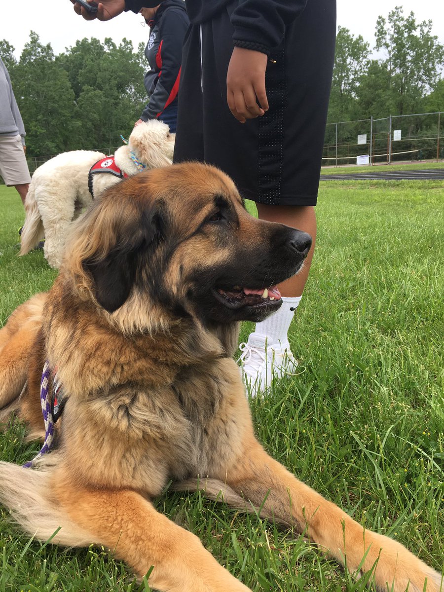 Rfl_troy's tweet photo. And we're off! Come out to relay for dogs, volleyball, root beer pong, luau party, and fun!!! https://t.co/PnVyWdlh4q