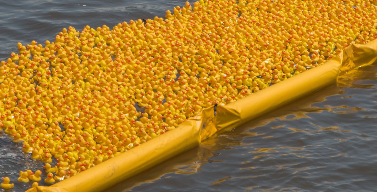 HumanitiesDC's tweet photo. Nothing brings a community together quite like racing rubber duckies along the Anacostia River. Last weekend, @DCDuckRace held their 3rd annual festival and needless to say we were there, duck in hand. C/o scenes from the event! https://t.co/L7EdfoX97R