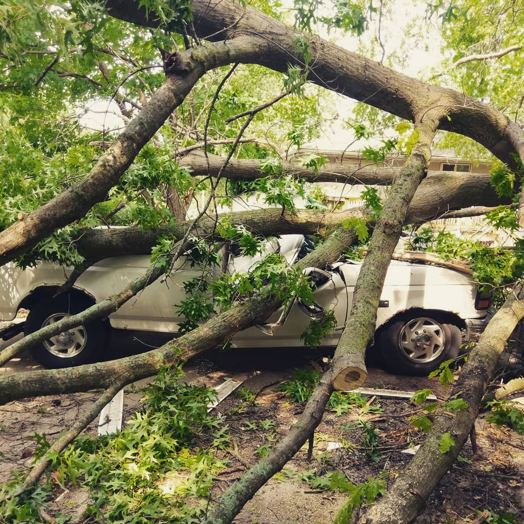 ac__braun's tweet photo. Looks like a warzone out here in east Hickman Mills. Amateur tree "specialists" are swarming like vultures, eager cut your wood. #KC #KCStorms https://t.co/yMoM3kWgI7