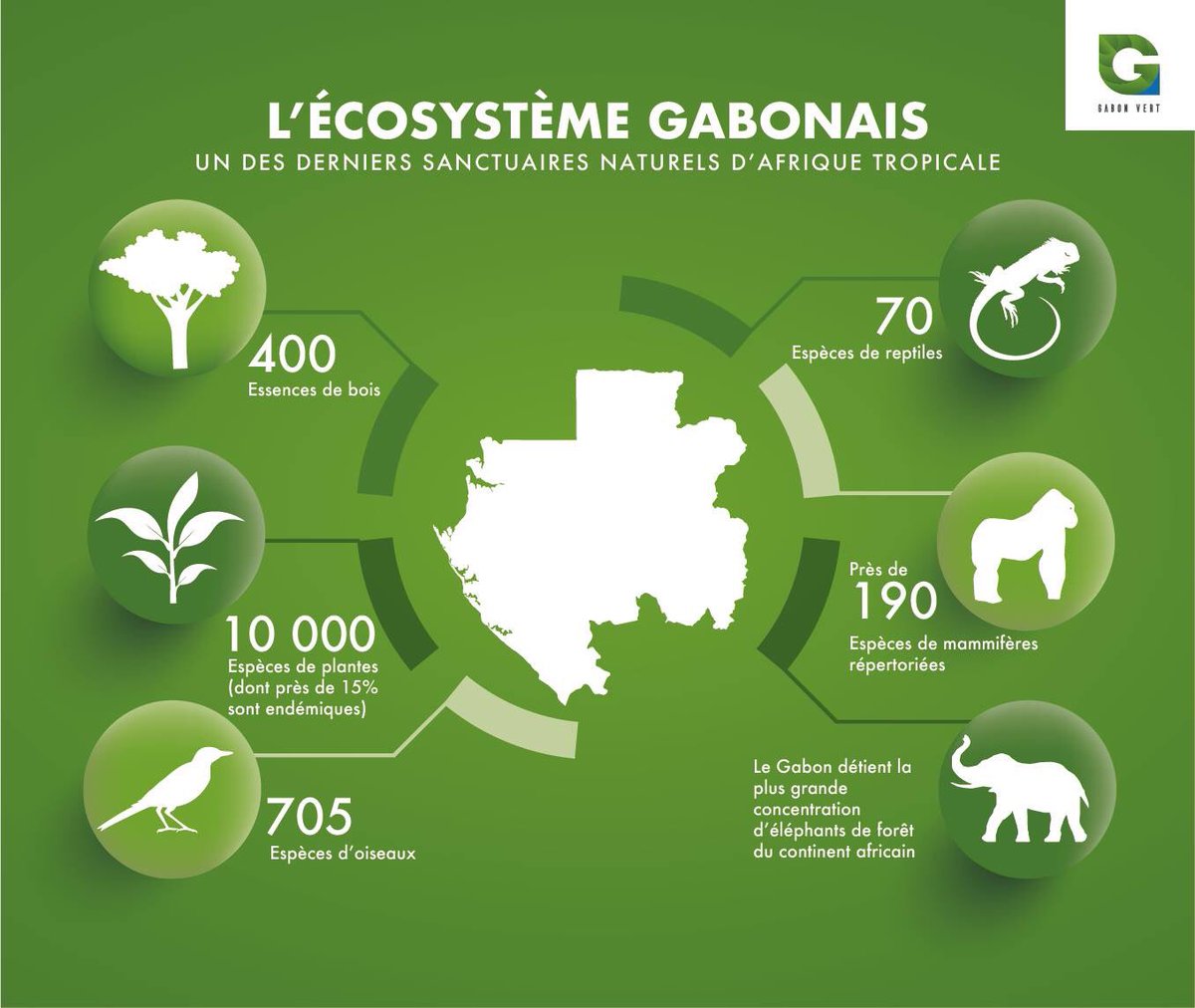 Semaine nationale de l’#environnement #Gabon. Les chiffres clés de l’#ecosystem gabonais.   #naturelovers <a href="/NationalGeoPixs/">NatGeoPics</a> #EnvironmentalJustice <a href="/La_Libreville/">La Libreville</a> #EnvironmentalJustice <a href="/gabonmediatime/">Gabon Media Time</a> <a href="/DworaczekBendom/">Dworaczek-Bendome</a> <a href="/LeMonde_Afrique/">Le Monde Afrique</a>
