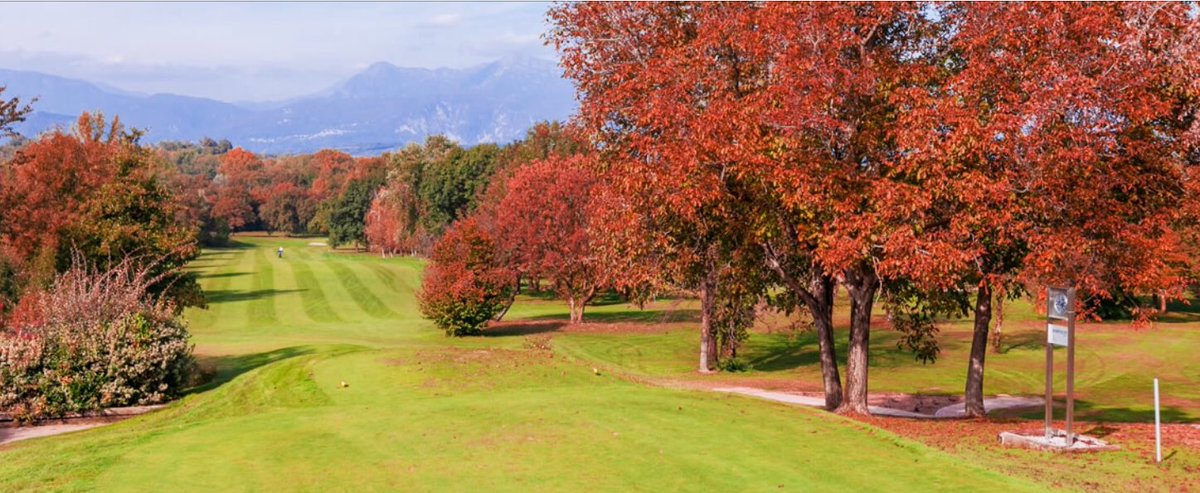 MeratiAngela's tweet photo. #GolfClubUdine is located in Fagagna, one of the most beautiful villages of Italy, surrounded by majestic hills covered by oak and beech trees against the backdrop of the Carnic Alps #18holes#par72 https://t.co/o777Et24fX ⛳️ https://t.co/8nD0MRtPDK
