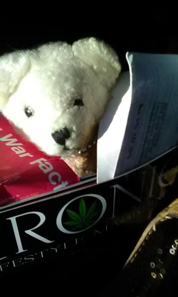 Jeaniegh420's tweet photo. @Roll_Bros HIGH and DANK You for the #Folllow @USWeedChannel and I are here to #connect and #network with you. Feel free to connect @Jeaniegh420 and check out our First, #MMJMickeyMouse #Icon #TokesBear The #CannaBear Every BUDDY Loves, https://t.co/Dy9VKlKnEG https://t.co/TN6HoqwEf8