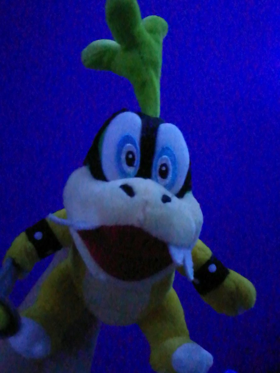 LillySternii's tweet photo. Oh my gosh i hot an Iggy plushy from my wife itsso adorable 😍😍😍

@ludwigthewizard 
@starwolfleader1 
@LewdRoykoopa 
@YourRoyDrago 
@KoopaPrincess 
@bow https://t.co/ovG0ZfWKXa