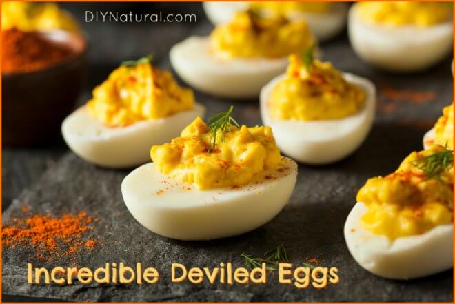 NaturalLife808's tweet photo. Learn How To Make The Best Deviled Eggs Ever! https://t.co/JRwSznZNhE https://t.co/KK48ow0Dn9