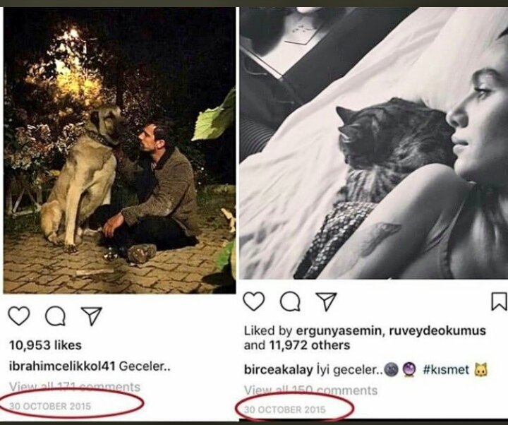 Aasema654's tweet image. I think it's far from being a simple  coincidence it's amazing what i'am seeing , the destiny  already said its last  word ,let's keep saying mashalah 💔💔💙💙💙💙💙💙
#BirHim #BiBo #siyahbeyazaşk #İbrahimÇelikkol  #birceakalay  #ibrbir