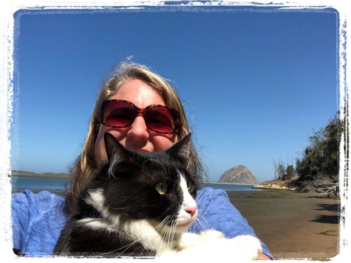 mavericktux's tweet photo. Morro Bay life π
#acatslife #vancat #rvcat #rvkitty #adventurecat #travelcat #explorationcat #tuxedocat #mygreatcat #bestmeow #catmodel #catmeowdel #bloggingcat #ilovemycat #weeklyfluff #meowbox #catlover #catloversworld #topcats #roadtrip #morrobay #california https://t.co/RbkdffkGQ0