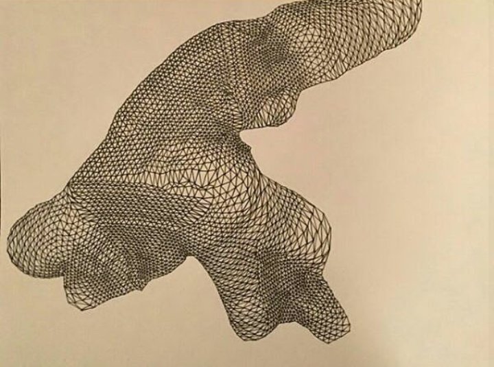 Adyorism's tweet photo. #ADYOR #ADYORGRID #GRID #GRIDS #GridFormations #Micron #ink these are a series of organic drawings by artist at your event early they are organic in the sense that they all start with just one triangle and build out from there with no planned outcome just whatever happens happen https://t.co/EznnkuOwG4