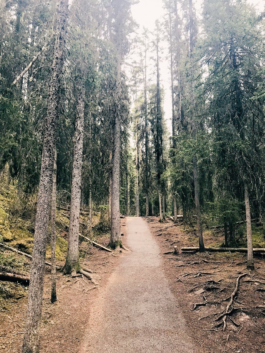 CodyTGross's tweet photo. Explore the trails. Cherish the memories. #NationalTrailsDay 🏞 https://t.co/XZT3BRN32B