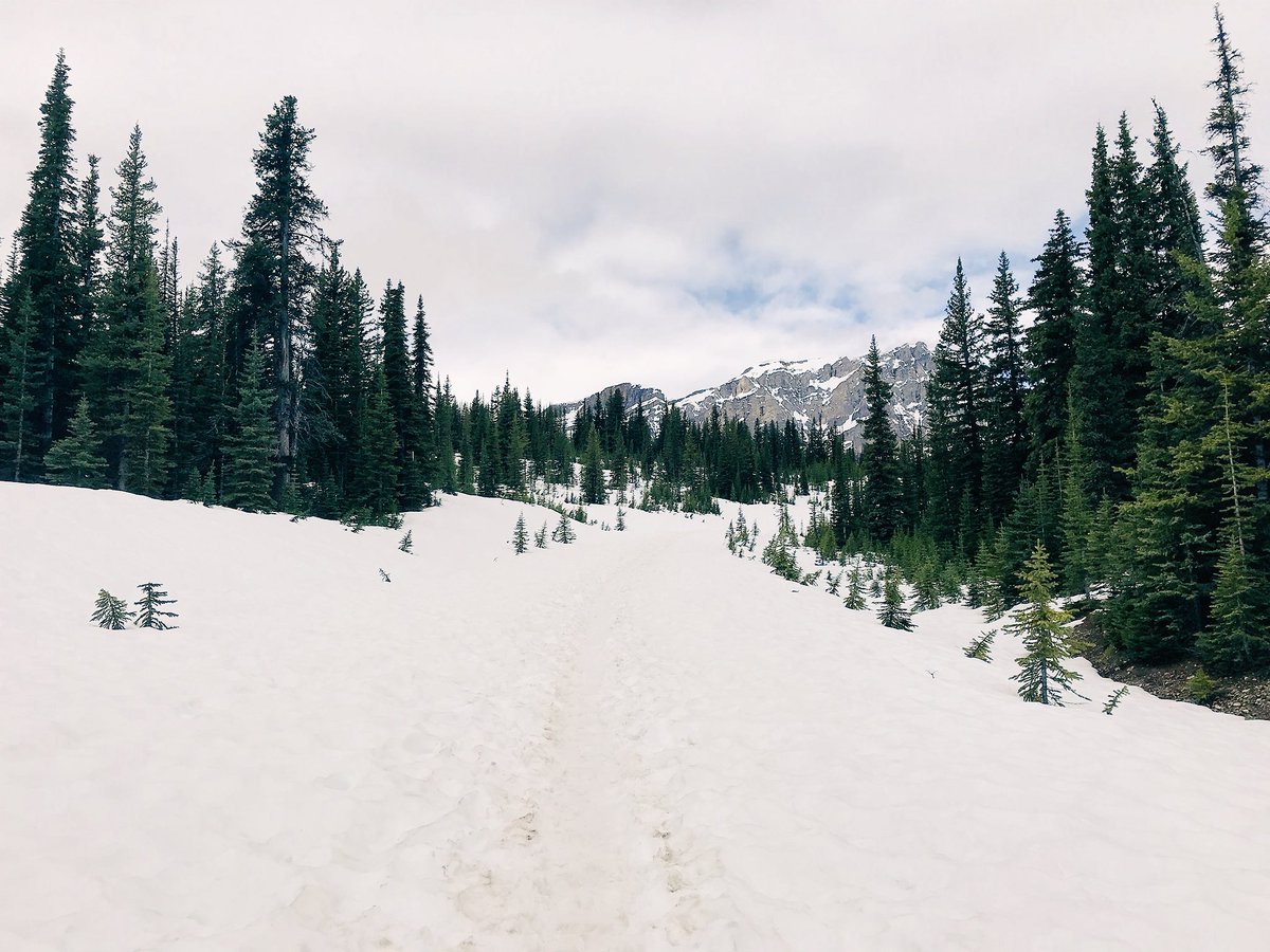 CodyTGross's tweet photo. Explore the trails. Cherish the memories. #NationalTrailsDay 🏞 https://t.co/XZT3BRN32B