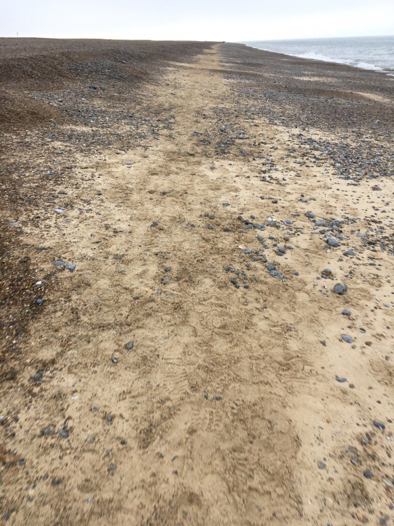 JLowenWildlife's tweet photo. wish me luck. #walkthepoint #cricketabandoned #hadtogiveitago https://t.co/1Dw7a7jgmD