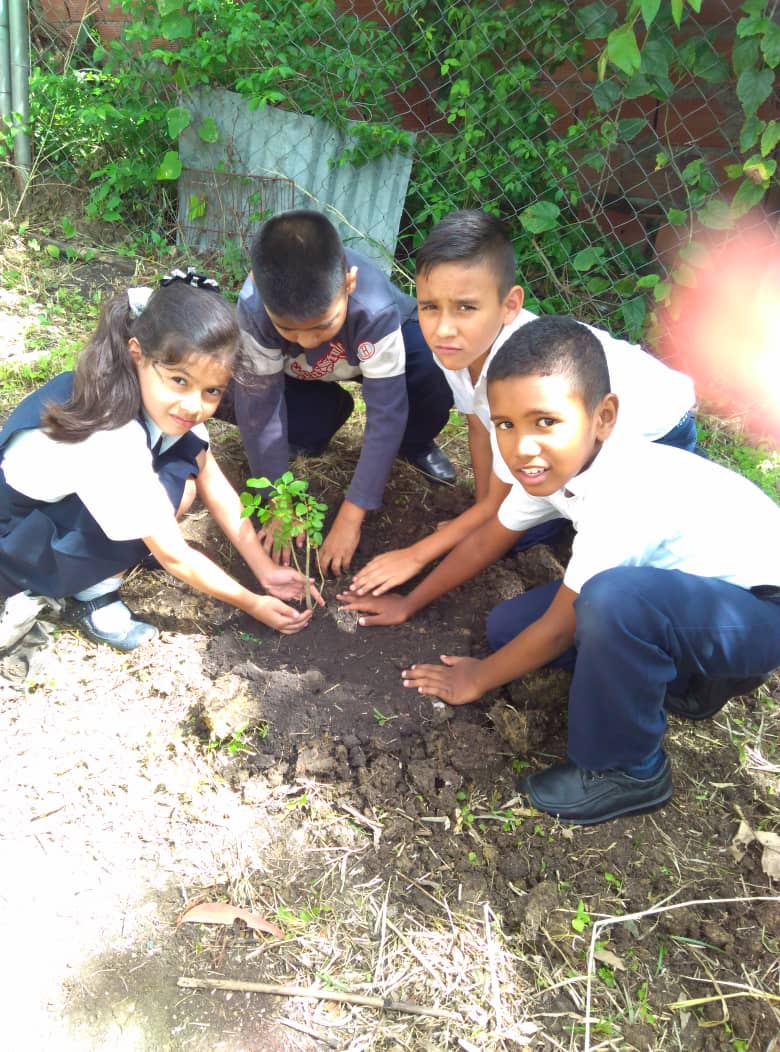 escuelatarabay's tweet photo. En conmemoración del día del árbol, estudiantes siembran arboles para el futuro @charlychaves @MPPEDUCACION @ZonaEducTachira https://t.co/RFtWWfJ8po