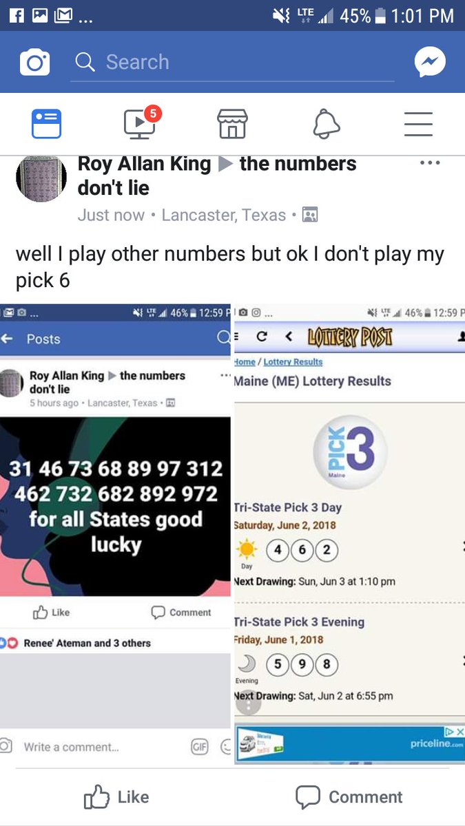 the lotto king