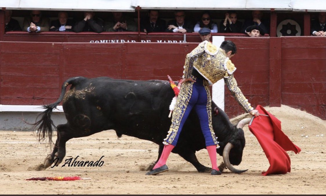 Que os parecido nuestro sobrero de la semana pasada?