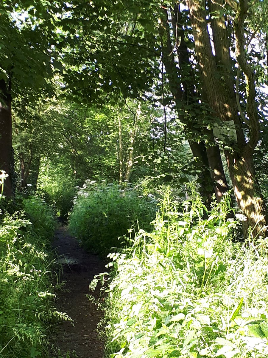 ShrewsburyCops's tweet photo. PCSO Newson on foot patrol in Castlefields #homeanddry #opcheckmate #nicenightforit https://t.co/oHukksGkcn