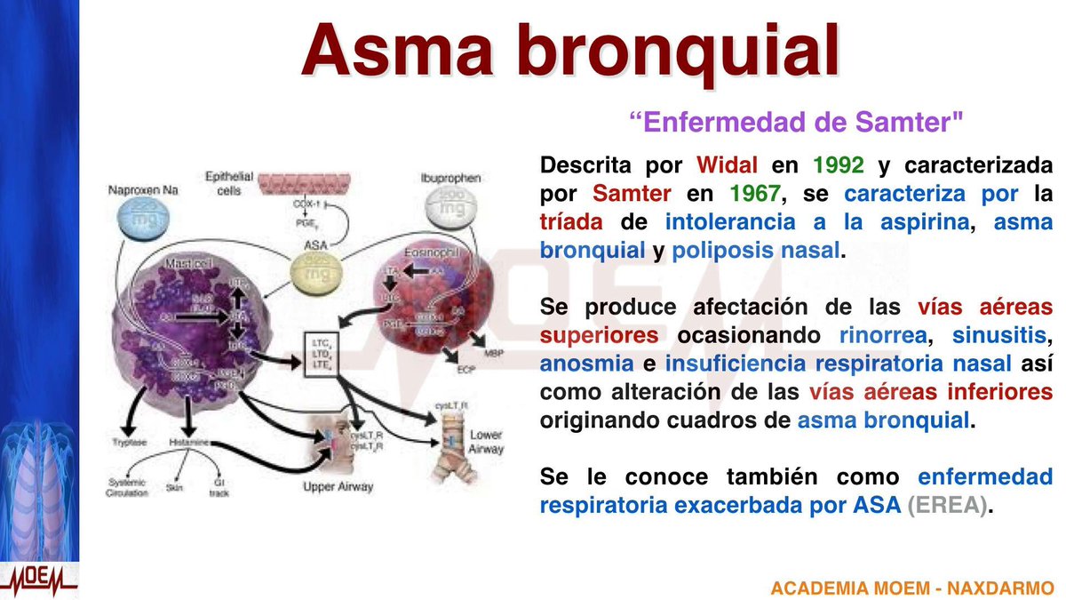 academia_moem's tweet photo. #AcademiaMOEM #MOEMCARDS #MCneumo 
Un RT nos ayudaria a crecer como comunidad 🙏 https://t.co/zmJxrEgmz1