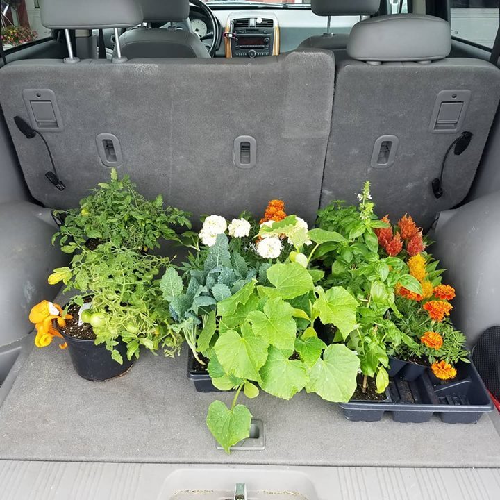 GopherBoy's tweet image. I'm going to wet my plants!