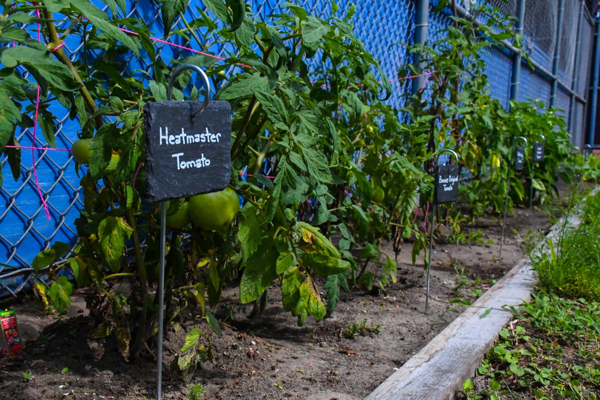 James A. Riggins (@riggins_jim) | Twitter