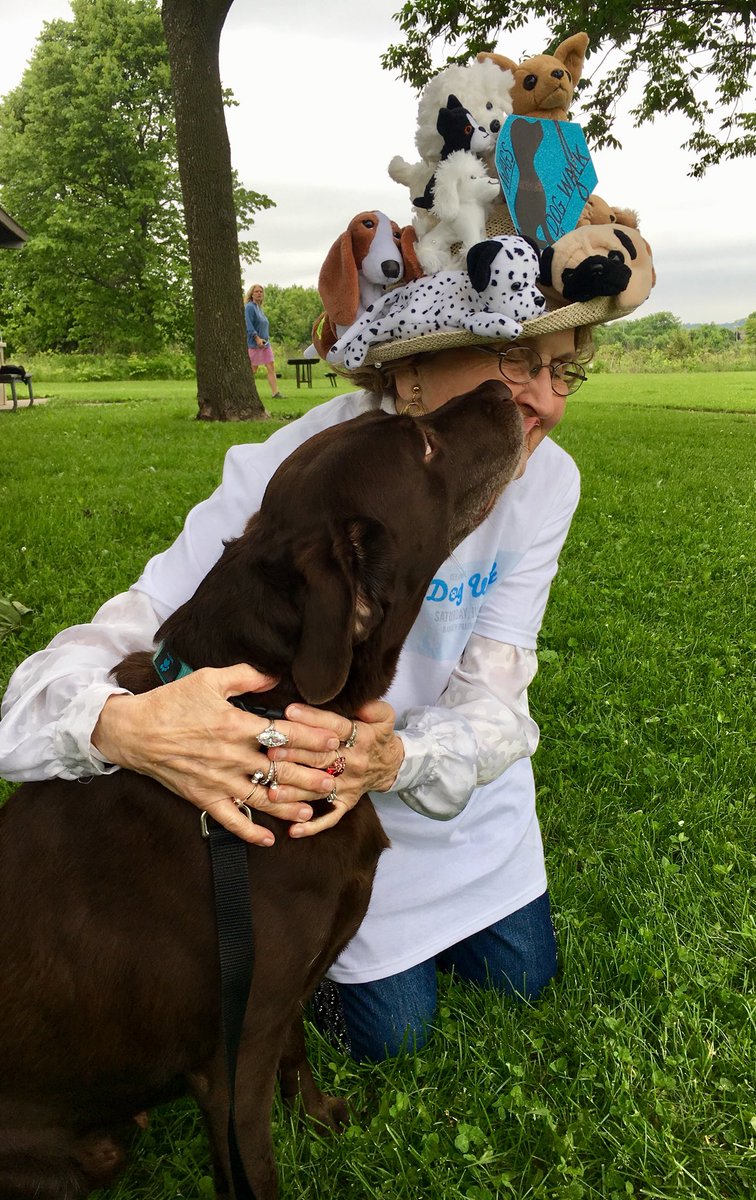 Hunt_Saenz's tweet photo. Ruger enjoyed her morning going on a walk for #WAGS —that trains service dogs in #Wisconsin. She got to meet my work buddy, Austin, and gave a sloppy kiss to Vi! How about that hat though?! #WKOW #Roogs https://t.co/w3XmCk3jr6