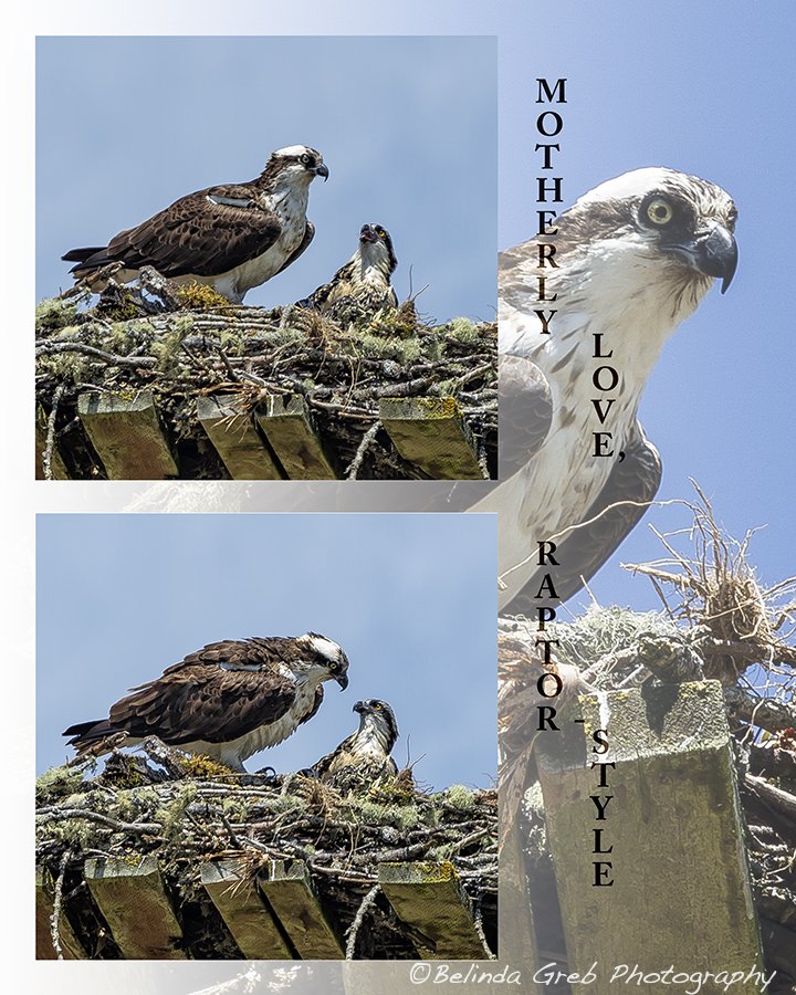 Belinda Greb tweet media