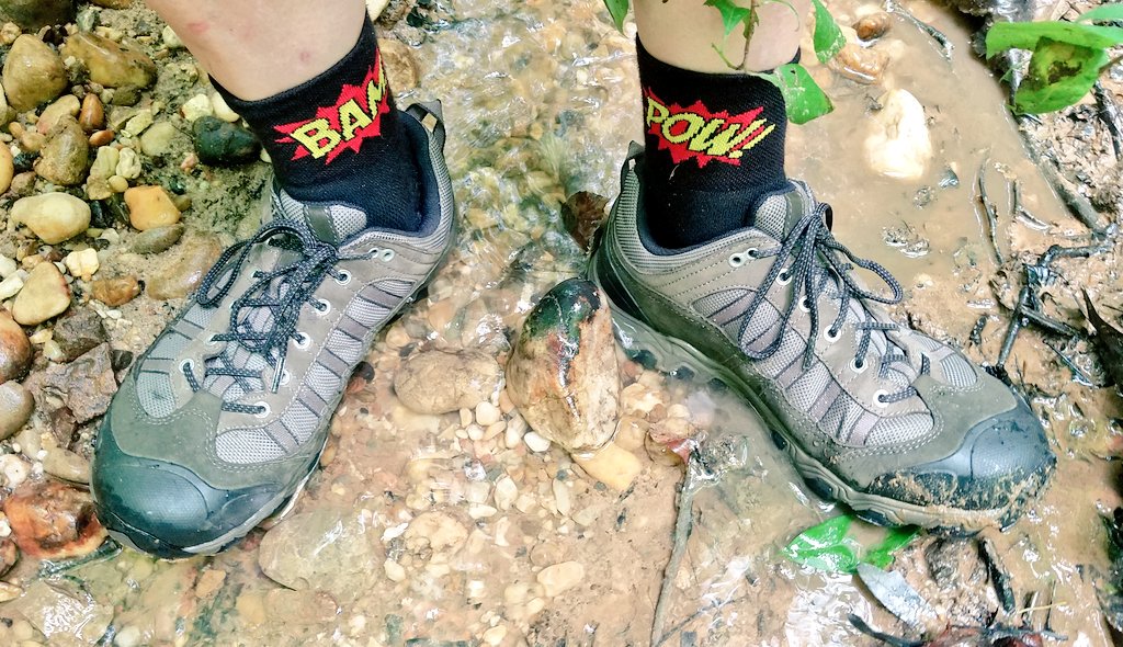 Chris_Roell's tweet photo. A little #hiking & #biking today in #FortDupontPark looking for that #ALLCAPS #StanleyCup #bikedc #hikedc #findyourfort #findyourpark #civilwarfort #americancivilwar #dccivilwarforts #dclove #mydcool #washingtondc #thedistict #DCisReal #wearedc #walkdc #acreativedc #rockthered https://t.co/nEGomnQ9K3