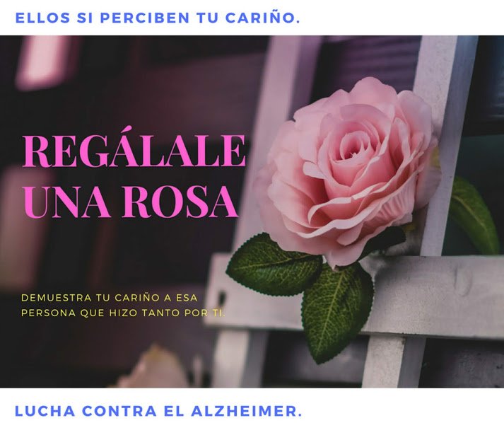 PlanasRemedios's tweet photo. Una clave para cuidar a un enfermo de alzheimer es:
E L    C A R I Ñ O.  Más información en el siguiente enlace.
https://t.co/mIYe6BAAzU … https://t.co/ptBP5pkG6k