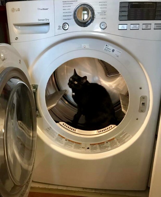HeidiW_NFM's tweet photo. Jack’s favorite warm place!  @LGUS #SprintLGG7 https://t.co/IEuj6STjLW
