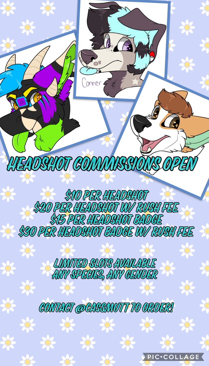 CassMutt's tweet photo. Open for limited headshot slots!!

$10 per headshot
$15 per headshot badge
Also offering rush fees!

Contact @cassmutt to order now!

RT's appreciated! Thank you for your support <3

#cassmutt #thatonepinkdog #thatonepinkdogstudios #commissions #openforbusiness https://t.co/spg1ZgQcXi