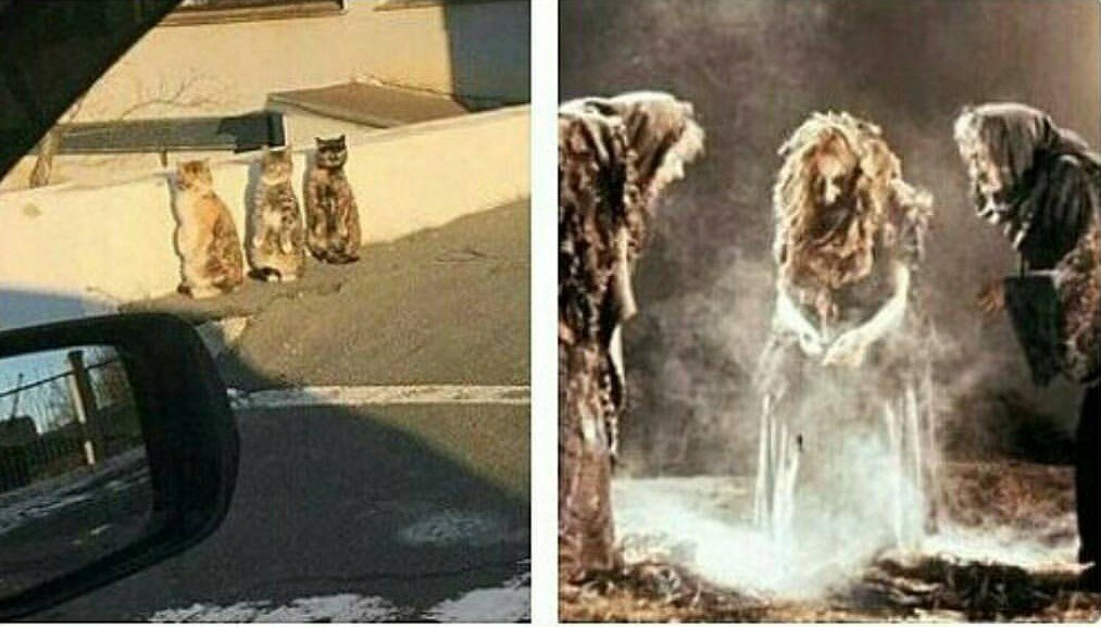 memedeveloper1's tweet image. What other people see Vs what we Africans see