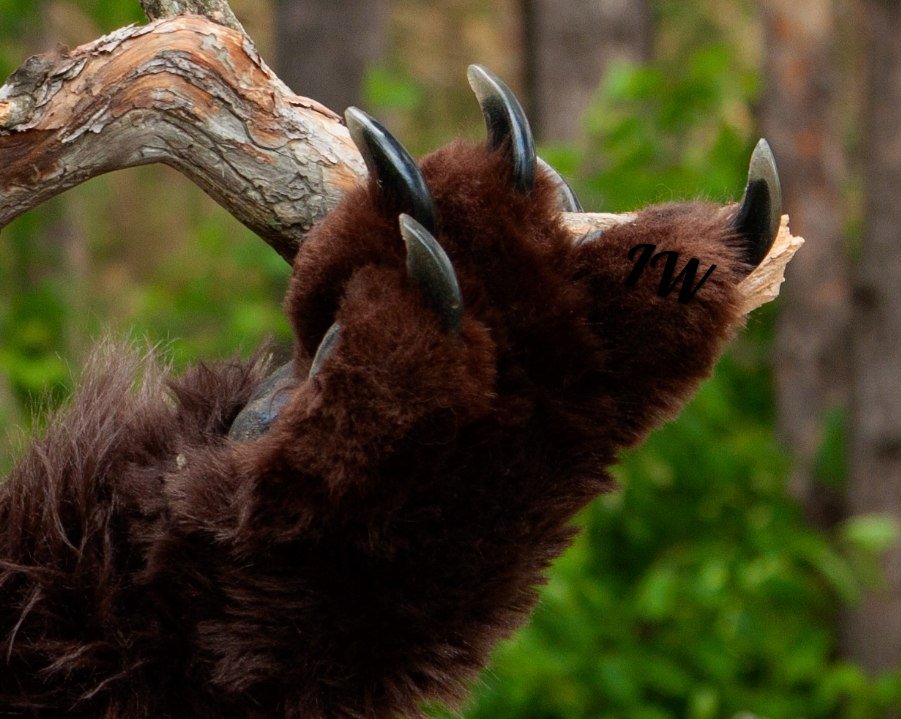 Paws and claws :)

#fursuit #furrypaws #handpaws #claws