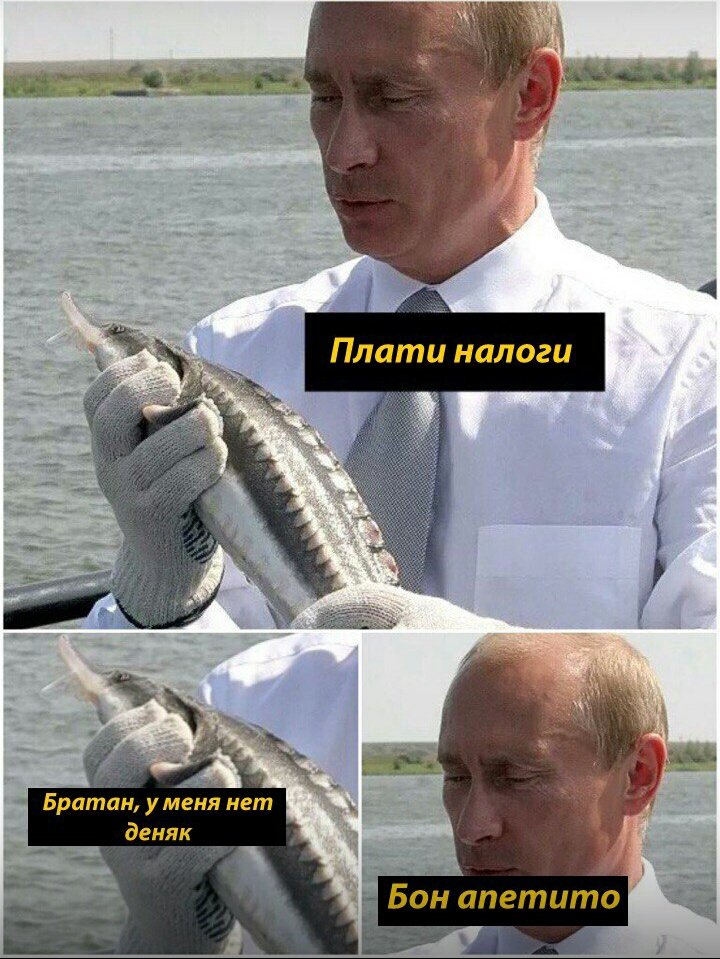 Мемы про Путина и налоги. Мемы с Путиным про налоги.