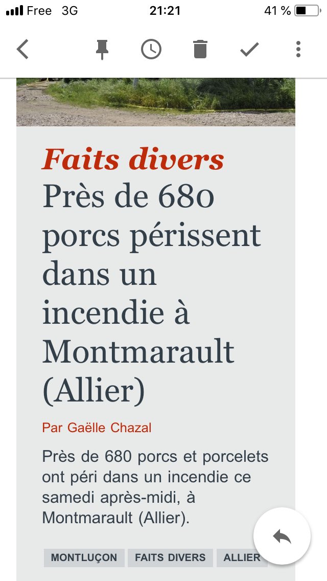 guybeart's tweet image. #BalanceTonPorc