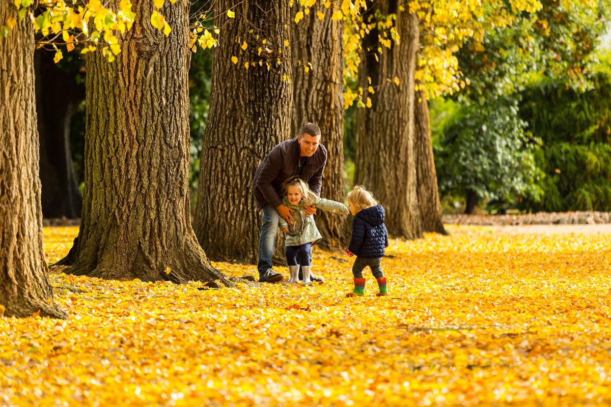VisitAW's tweet photo. Head out and catch the last of our Autumn #colour in our awesome parks and #gardens #grabyourcamera https://t.co/FaUHuiIKhd https://t.co/ol7ZmIPkEC