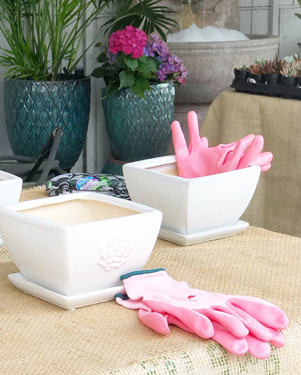 rockinmama's tweet photo. What are you doing this weekend? Make this easy DIY Succulent Planter! All of the supplies are available at your local @armstronggarden
#ArmstrongGarden #ArmstrongSucculents #TrendSpotted AD https://t.co/U0OkoseQ9L