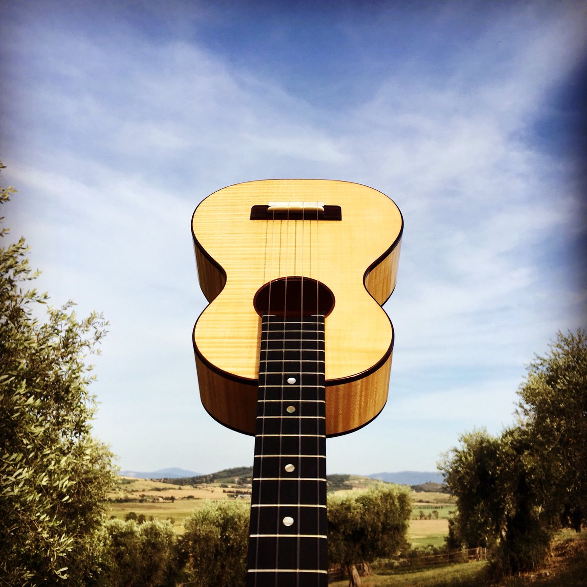 Ukulelezeit.de tweet media