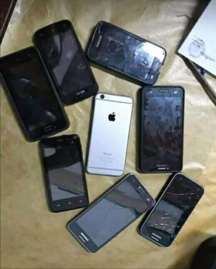 Yo en el medio de tu ganado.