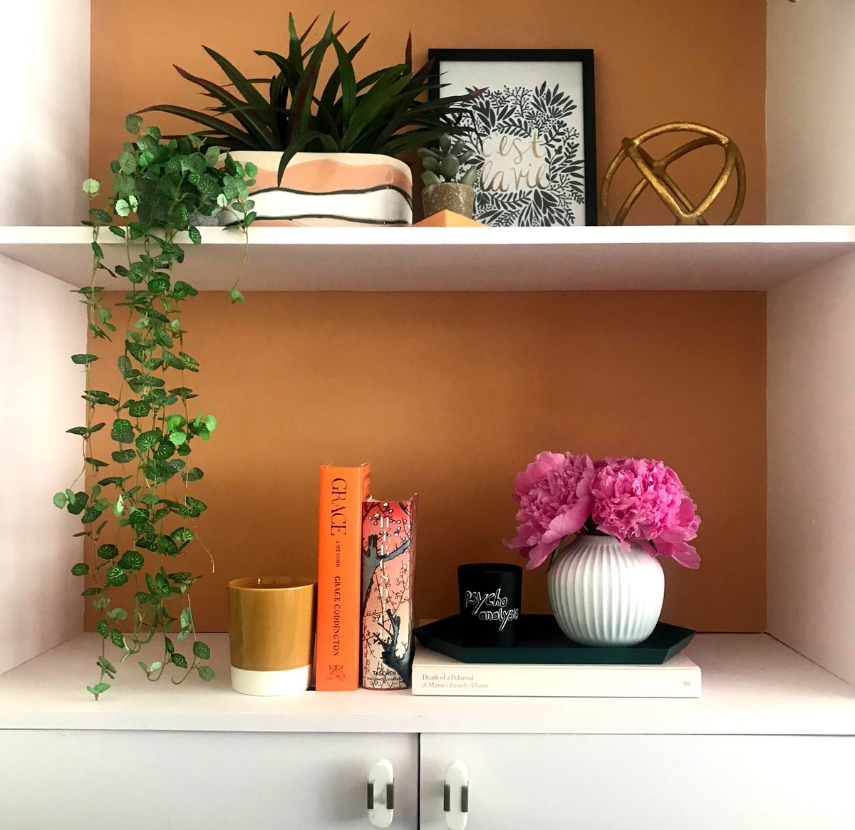 Saturday shelfie, with the help of <a href="/AldiUK/">Aldi Stores UK</a> basic shop; peonies and faux diptyque burning in the background! 💕