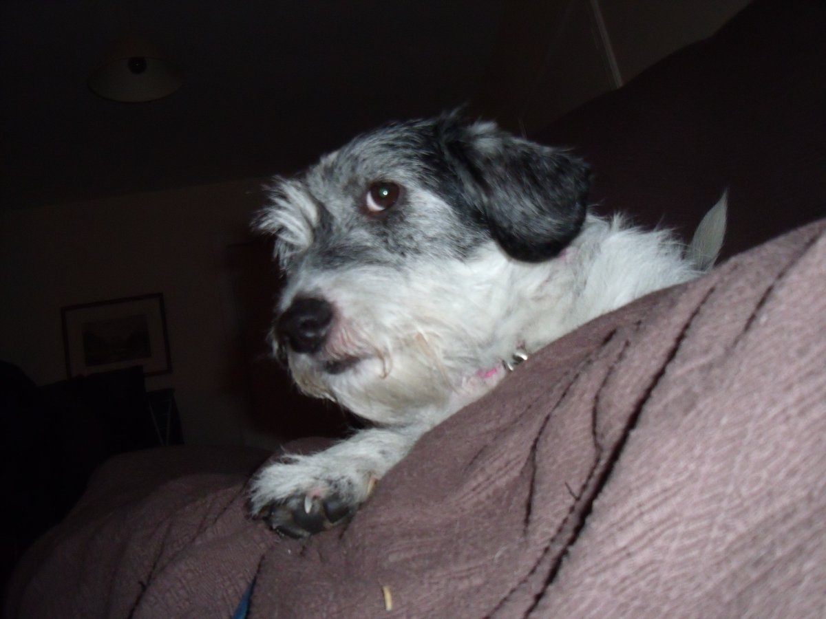 Molly looking sceptical with her "Aye right" expression