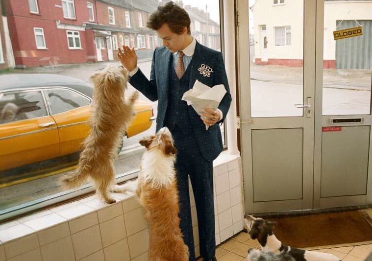 FashionweekNYC's tweet photo. Take a look at the Harry Styles for @Gucci Campaign 😍🐶🐓 https://t.co/WwWUA3bc8d