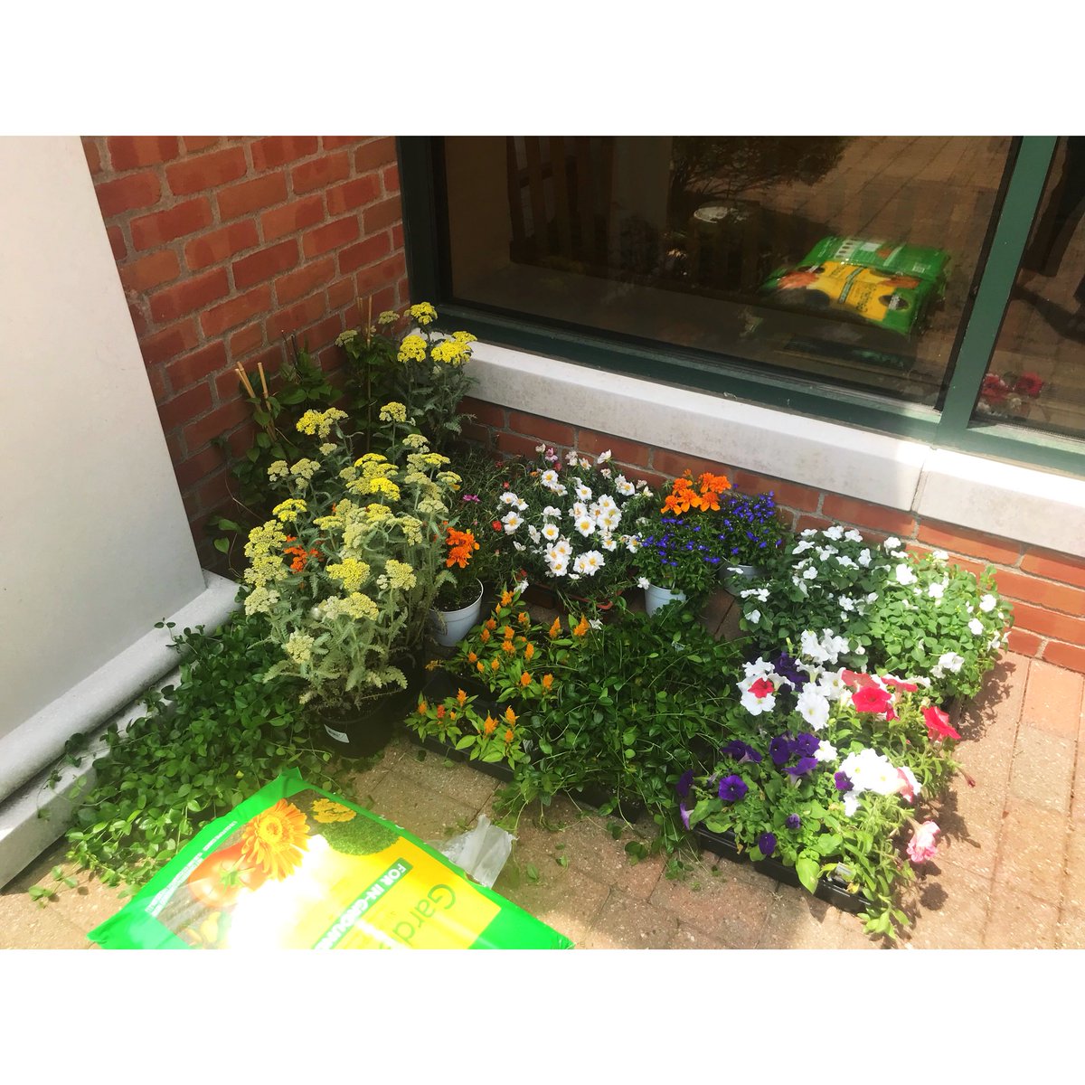 Schechter_Art's tweet photo. So proud of my students, their hard work and their creativity!!! It’s coming together!!! #memorialproject #ourlegacyliveson #pfli #facinghistoryandourselves https://t.co/HiQFrzSoqx