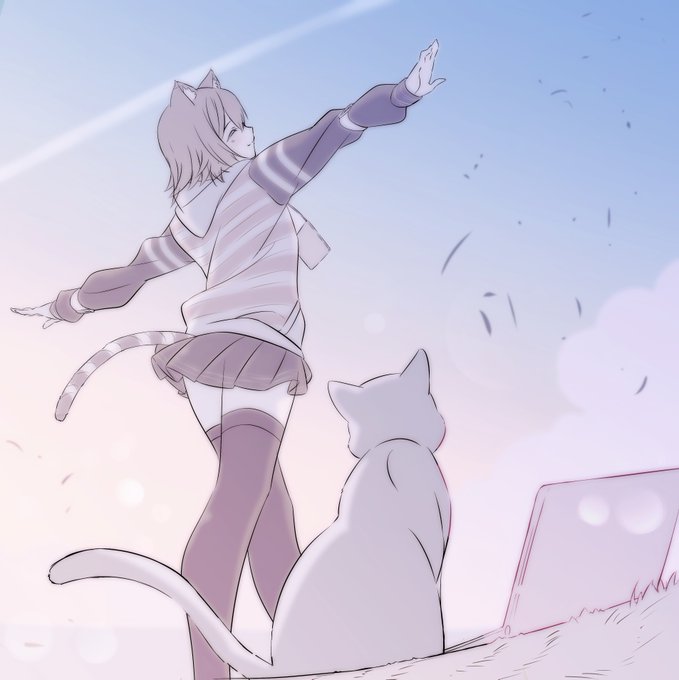 野良猫飛行機

#のらねっこあら 