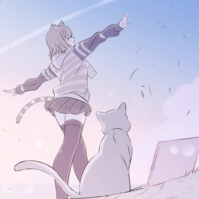 野良猫飛行機

#のらねっこあら 