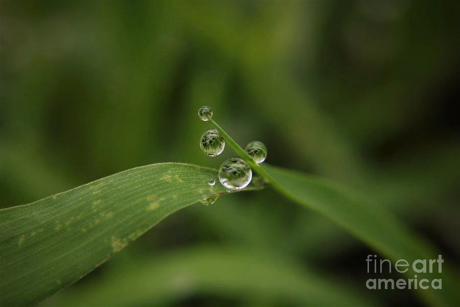 Belinda Greb tweet media