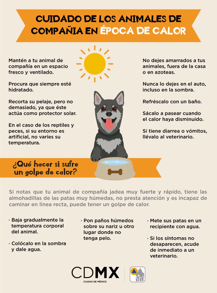PoliedroCC's tweet photo. Más recomendaciones... https://t.co/Av6ZiWx29T