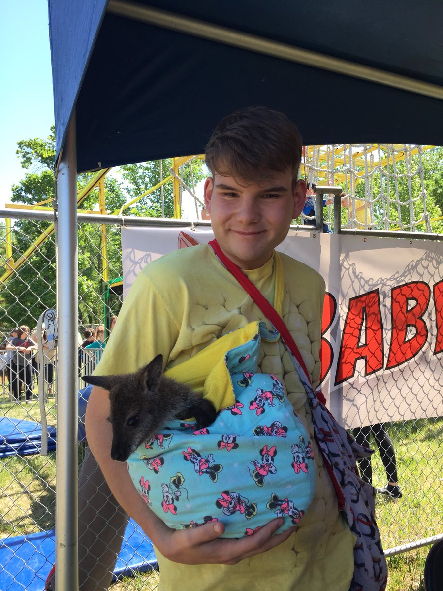 SpectrumMedHat's tweet image. The cutest part of Spectrum by far is these little guys! #babykangaroos #medhat #Spectrum2018