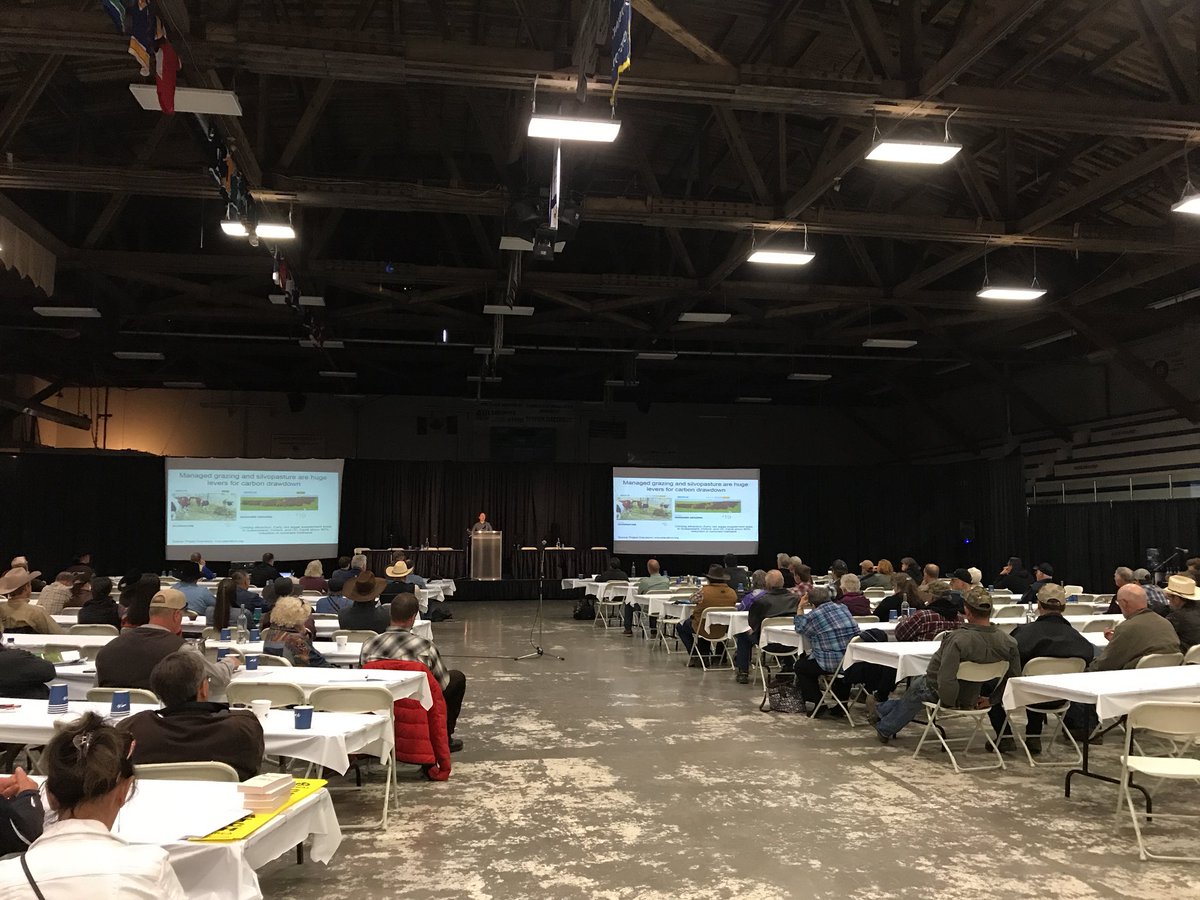 BCcattle tweet media